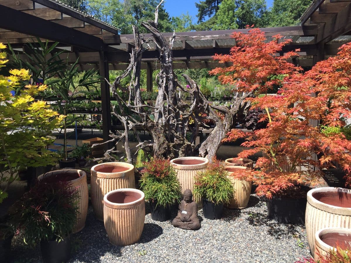Wells Medina Nursery