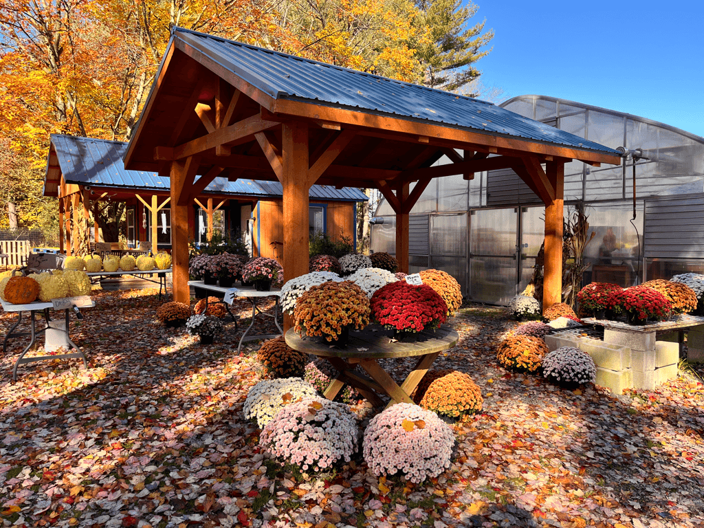 Wells Nursery