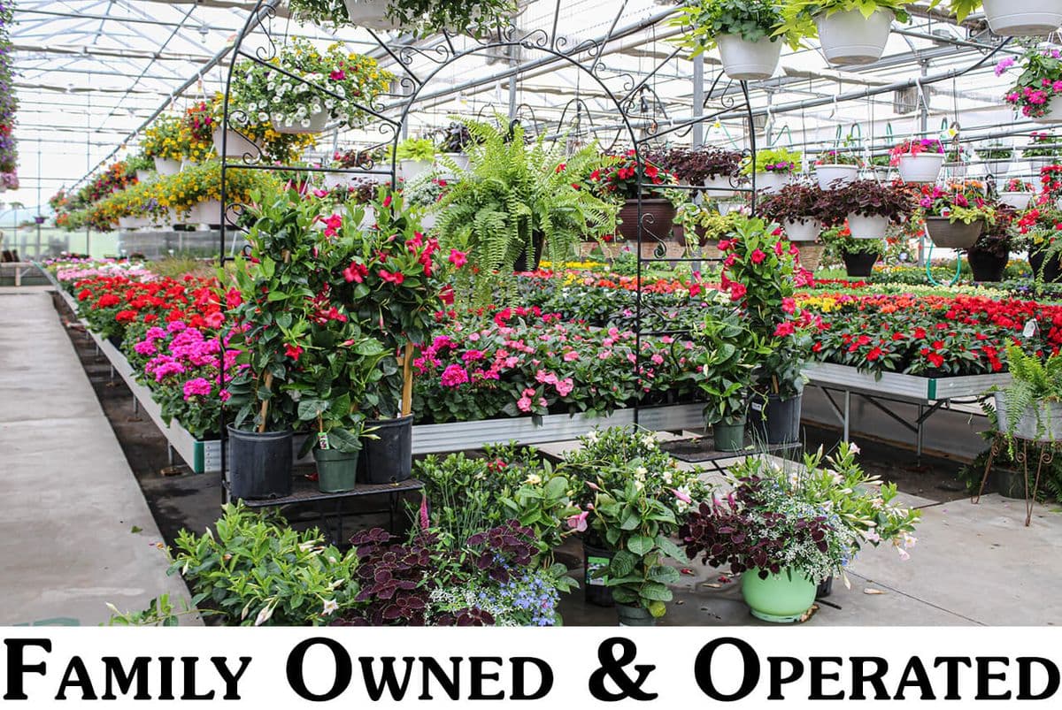 Wenger's Greenhouse