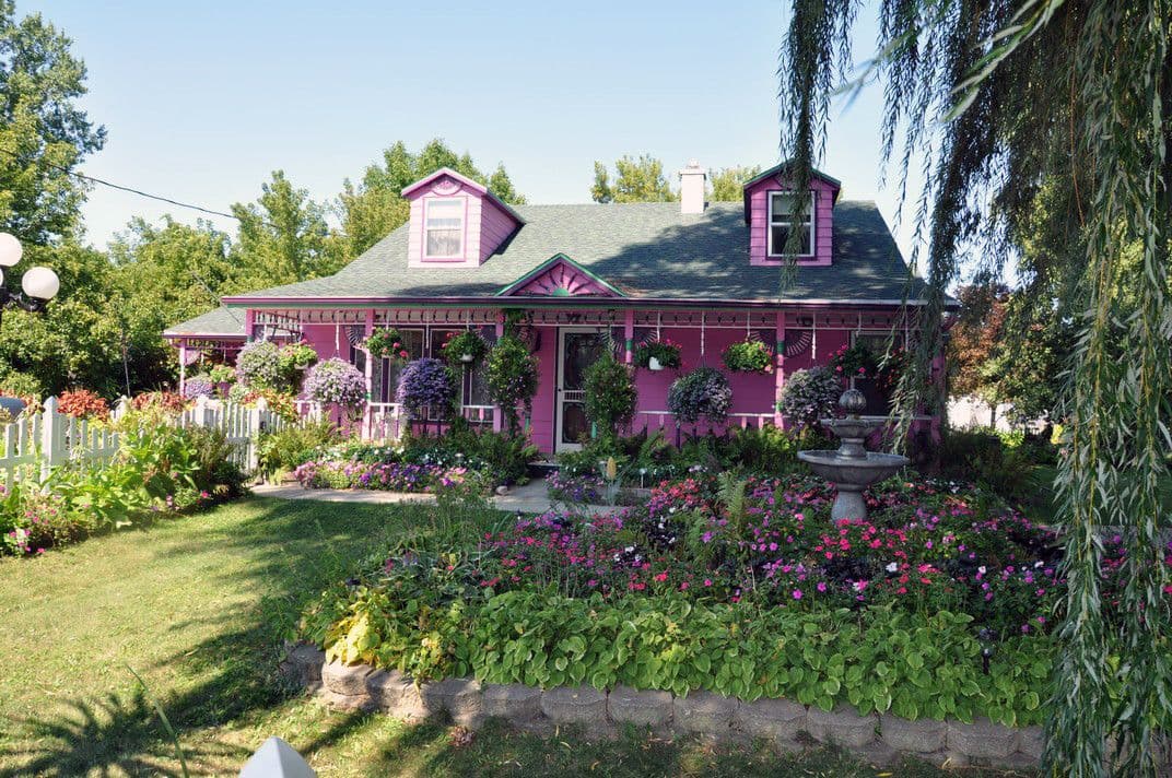Wery's Sweet Summer Bloomers