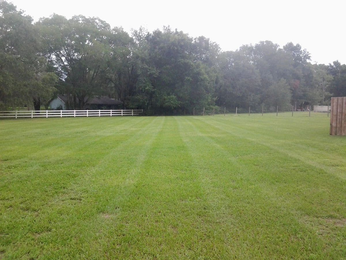 Wesley Chapel Mulch Supply & Landscaping & Plant Depot