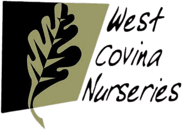 WEST COVINA WHOLESALE