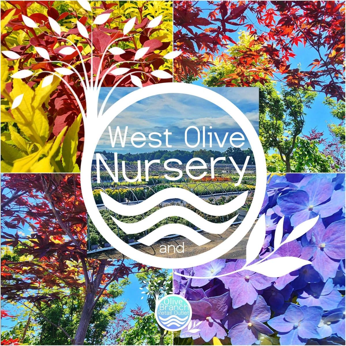 West Olive Nursery & Olive Branch Retail Outlet.