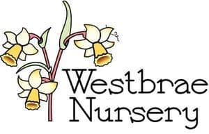 Westbrae Nursery