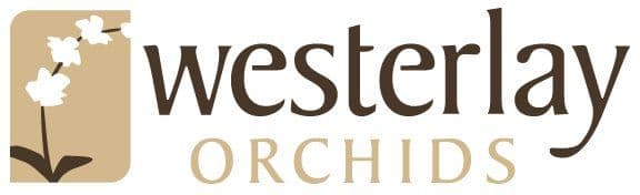 Westerlay Orchids