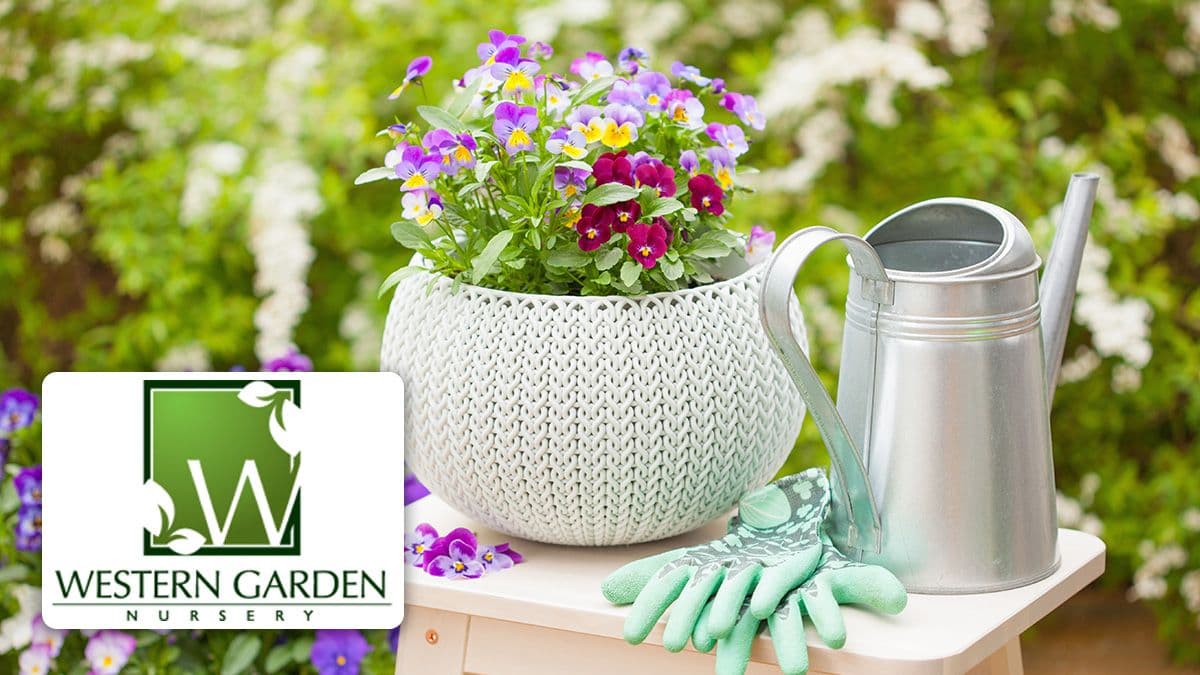 Western Garden Nursery