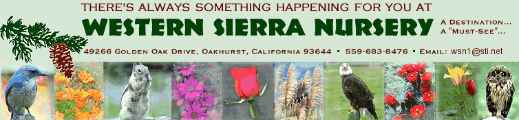 Western Sierra Nursery