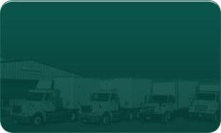 Western Tree Nursery Inc