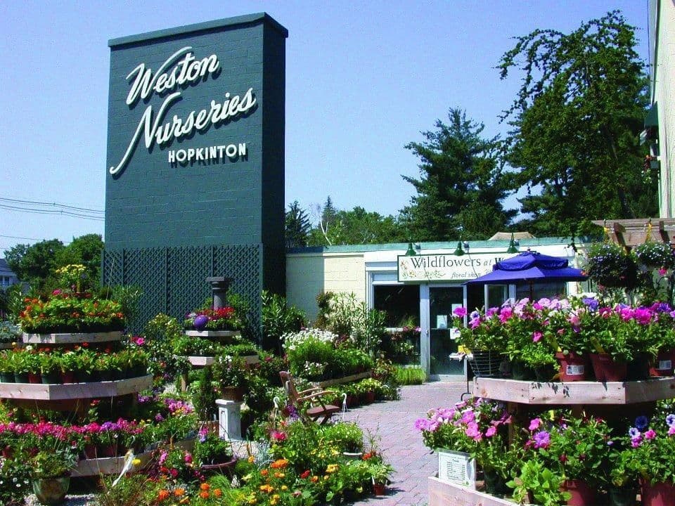Weston Nurseries