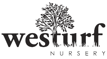 Westurf Nursery