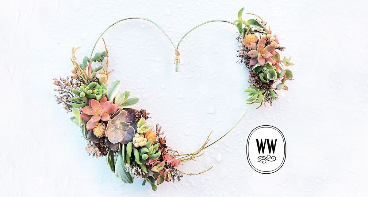WestWind Succulents