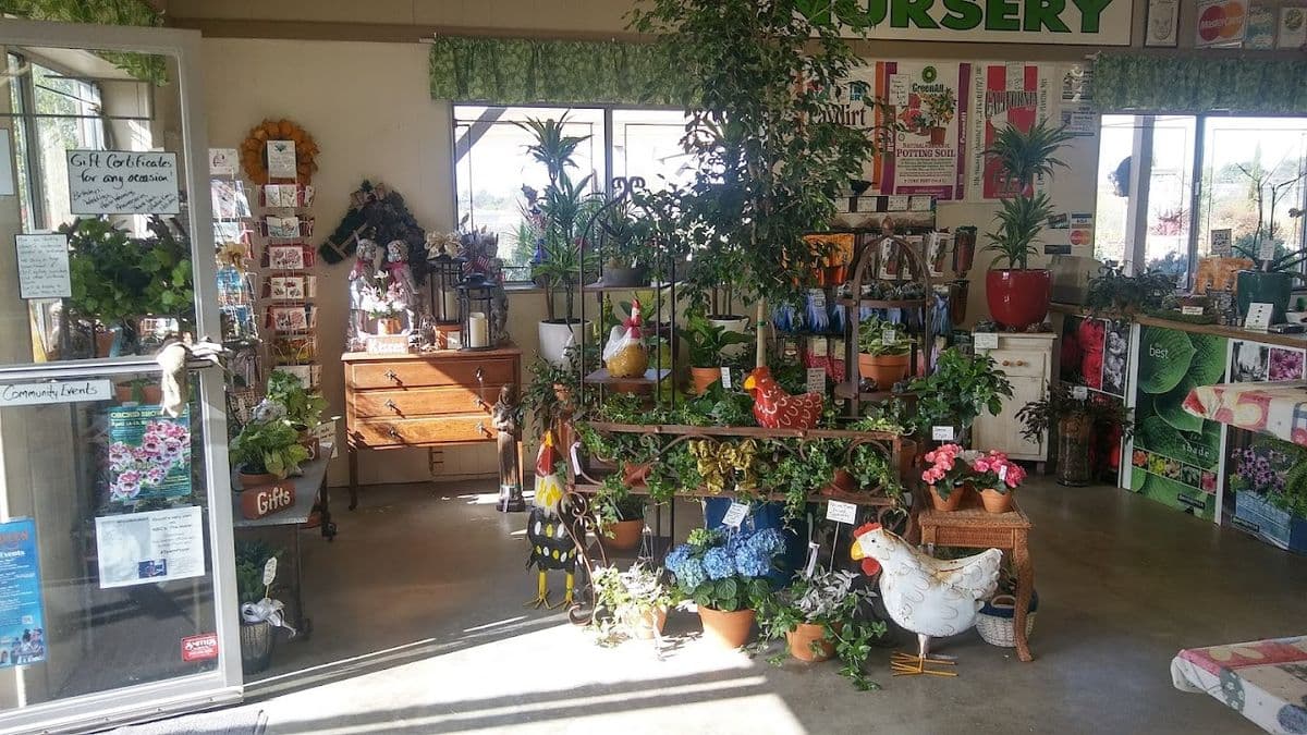 Whispering Tree Nursery