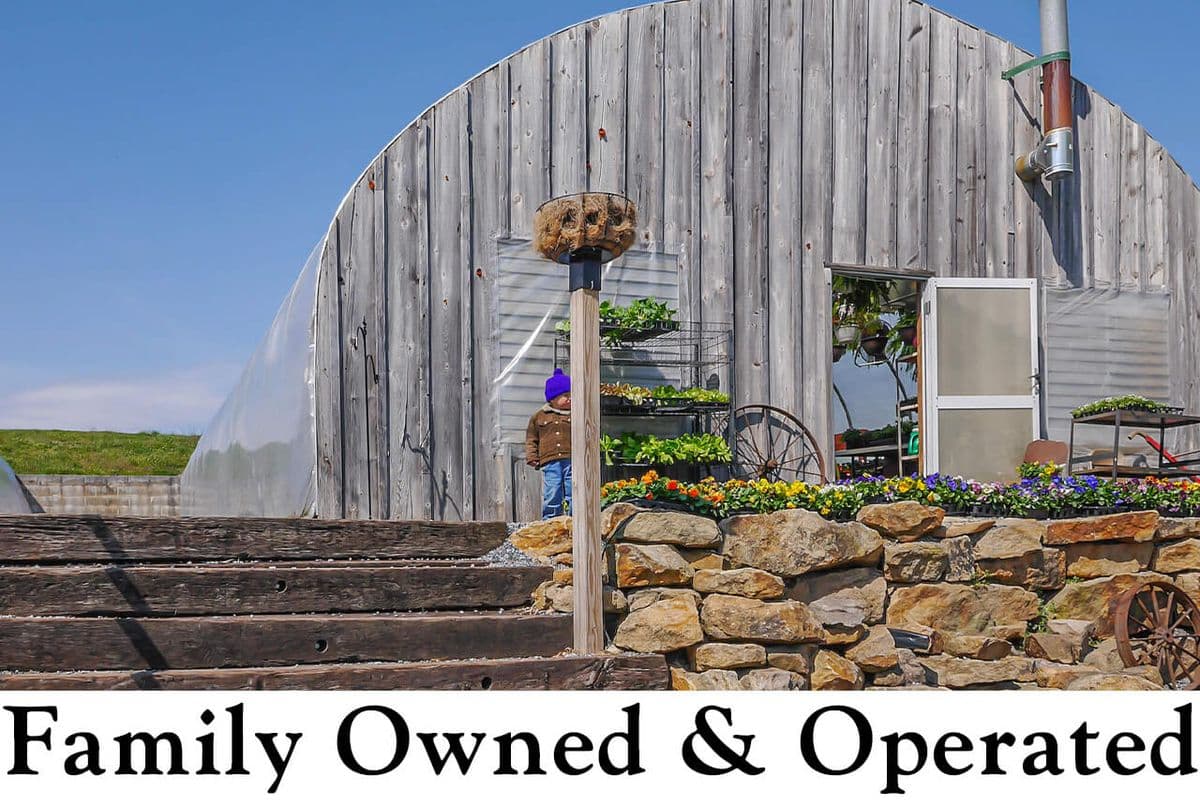 Whispering Willow Greenhouse