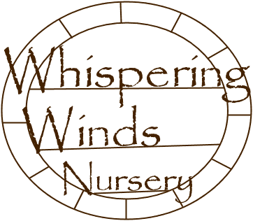 Whispering Winds Nursery