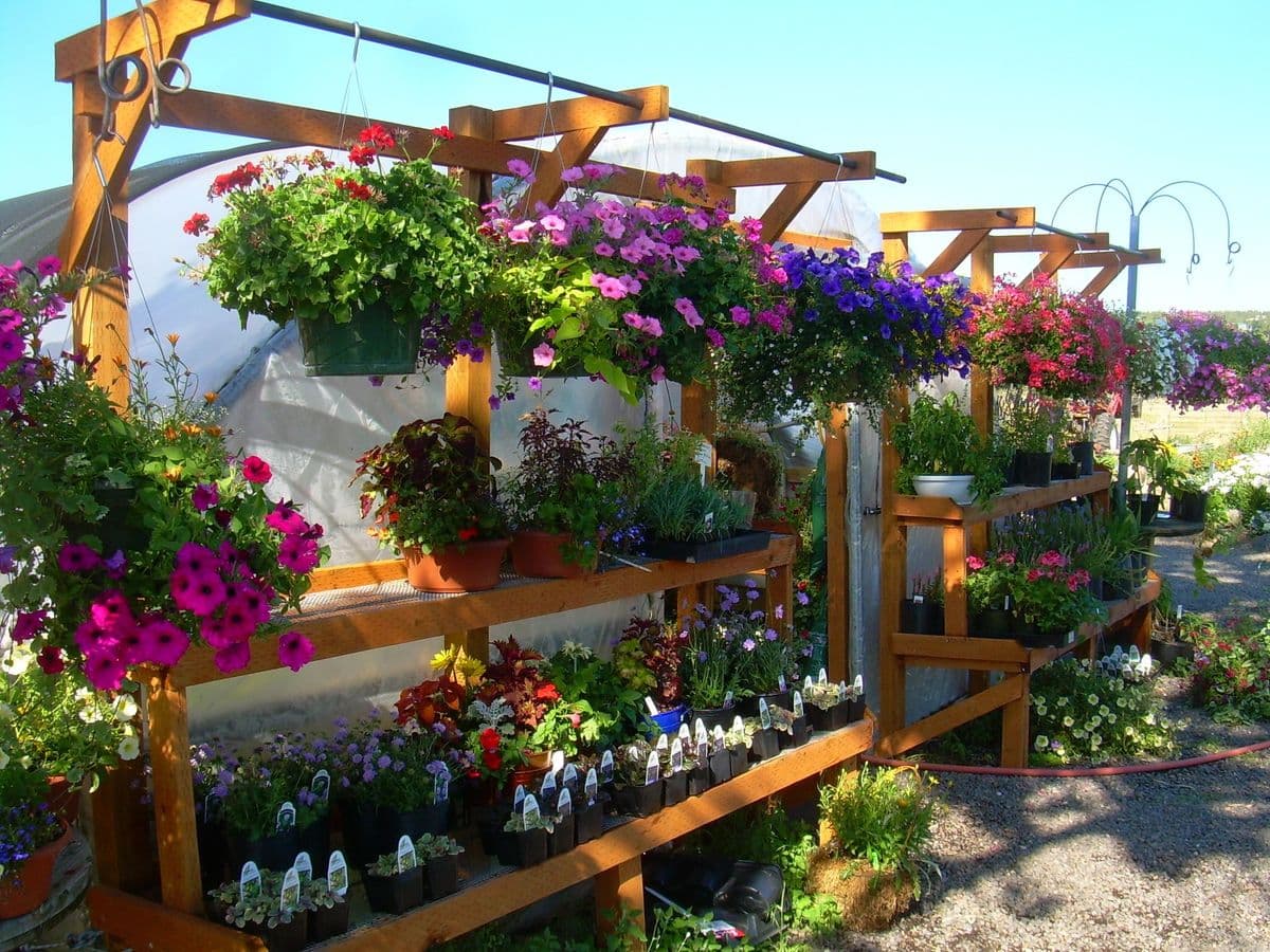 Whistle Stop Farm & Flowers