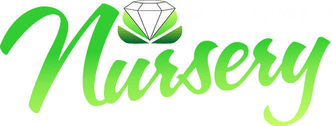 White Diamond Nursery