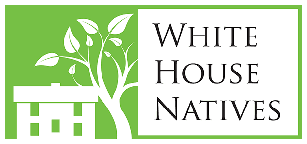 White House Natives Tree Farm