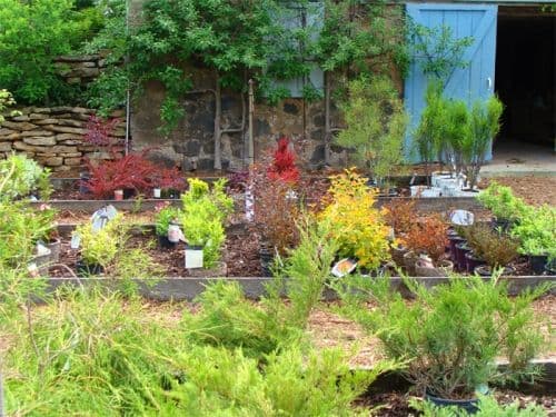 White Lake Greenhouse & Nursery