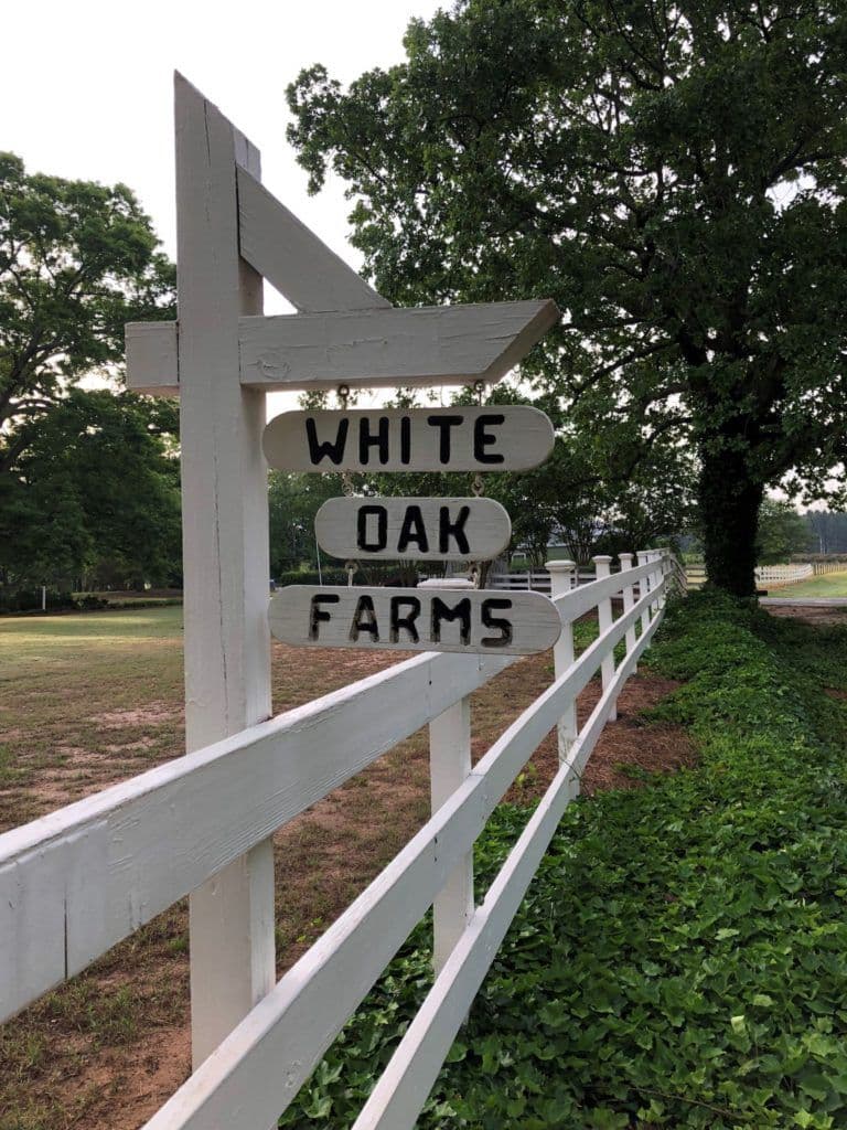White Oak Tree Farm
