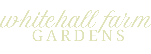 Whitehall Farm Gardens
