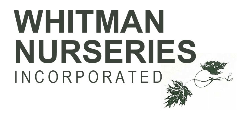 Whitman Nurseries Inc.