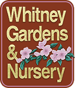 Whitney Gardens and Nursery