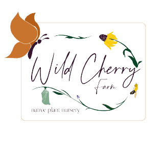 Wild Cherry Farm