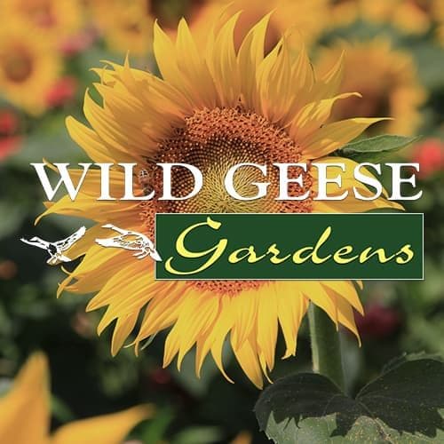Wild Geese Gardens