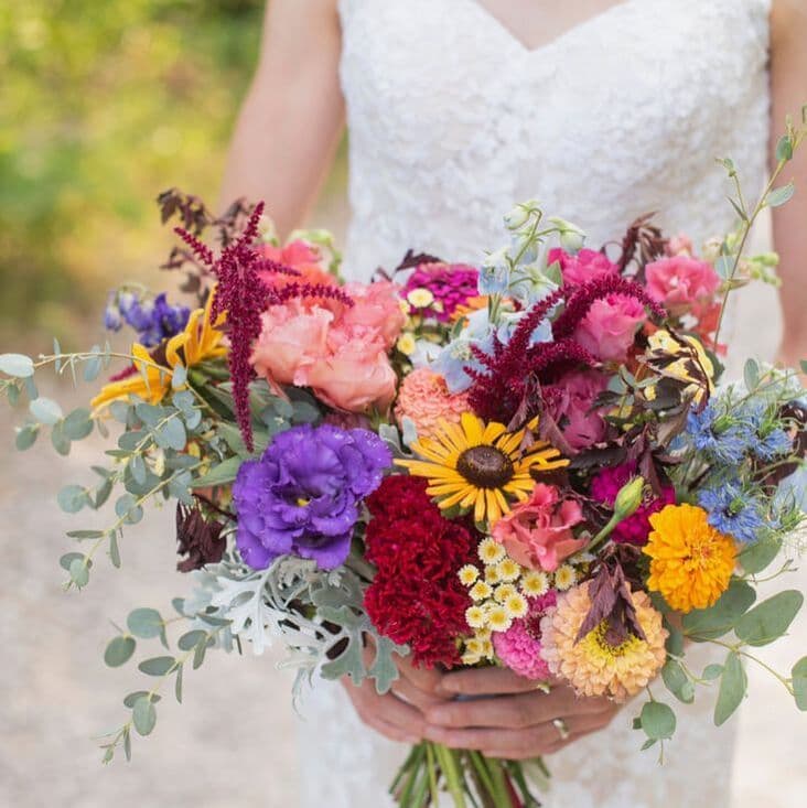 Wild hollow flower farm
