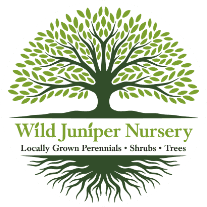 Wild Juniper Nursery