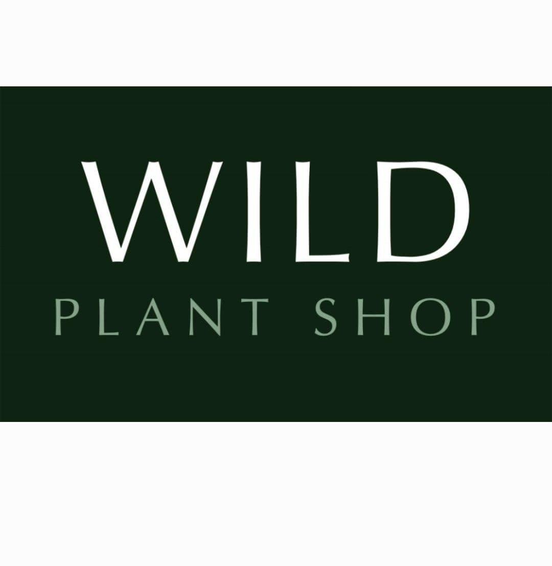 WILD Plant Shop