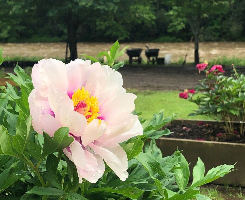 Wildcat Ridge Farm