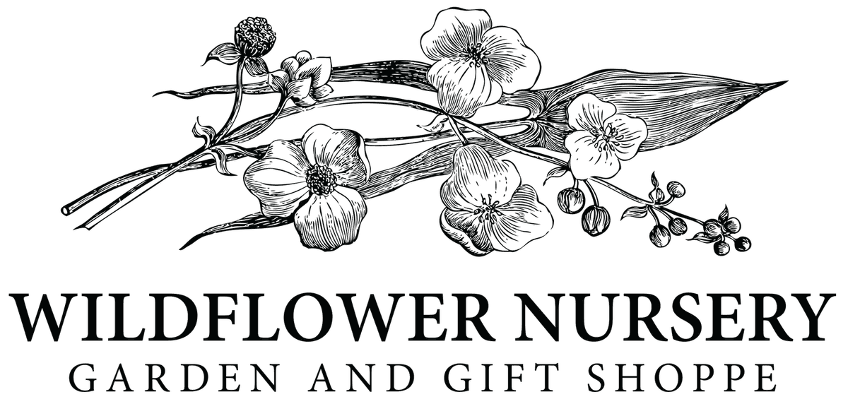 Wildflower Nursery Garden & Gift Shoppe