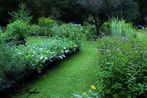WildThings Rescue Nursery