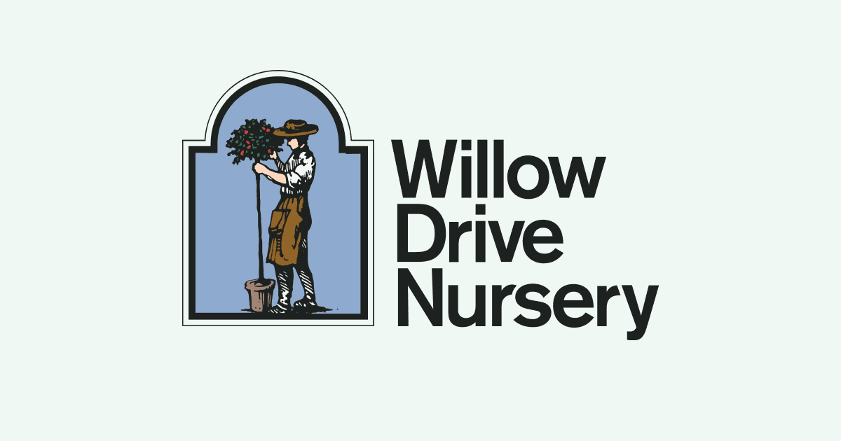 Willow Drive Nursery, Inc.