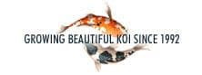 Willow Pond Koi
