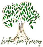 Willow Tree Nursery Inc