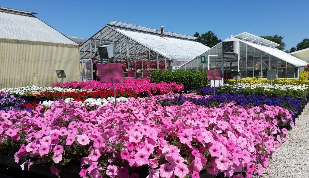 Willson's Garden Center