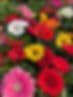 Wilson's Nursery & Garden Center
