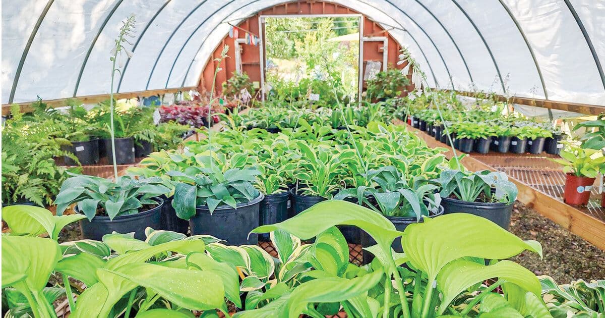 Winding Stair Farm Nursery
