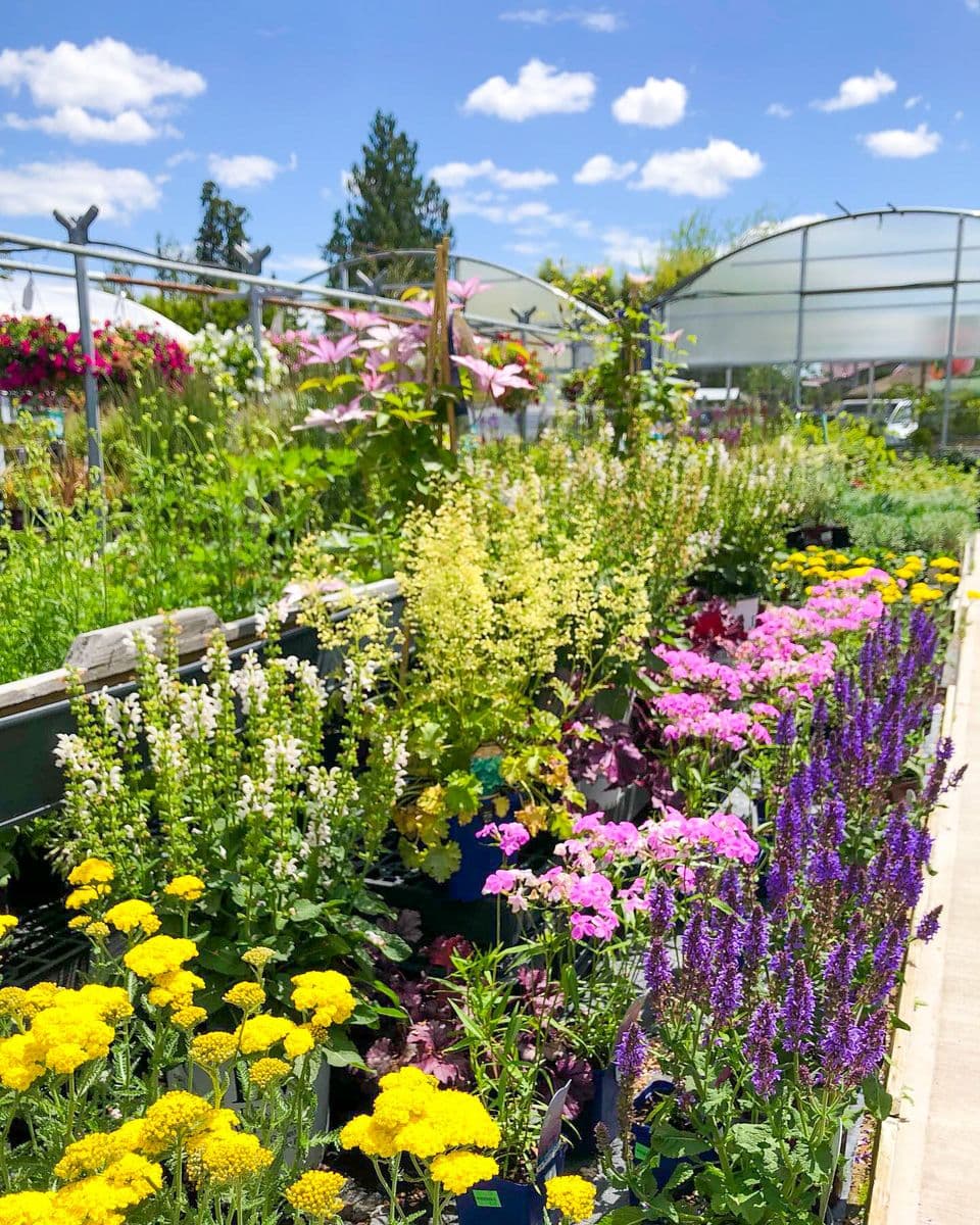 Windmill Gardens - Riverside Farm