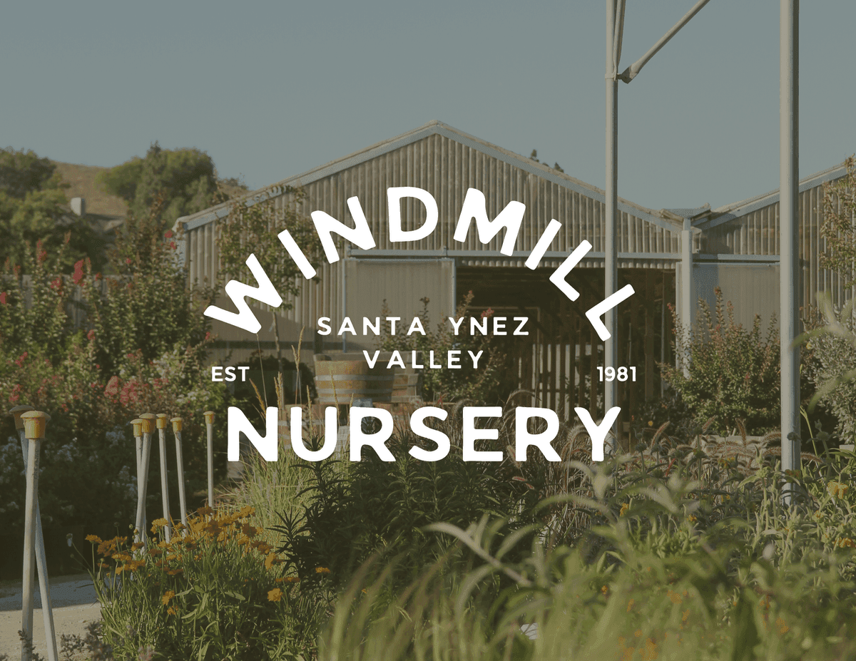 Windmill Nursery