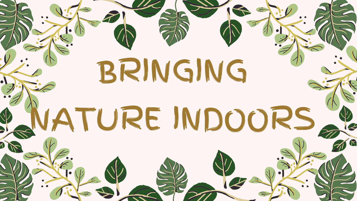 Windswept Indoor Oasis