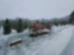 Windy Knoll Christmas Tree Frm