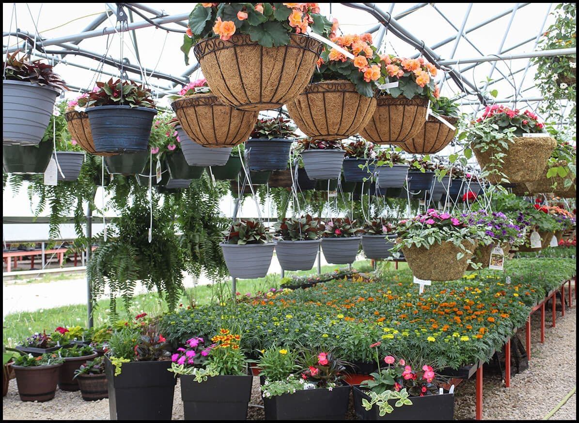Windy Ridge Greenhouse