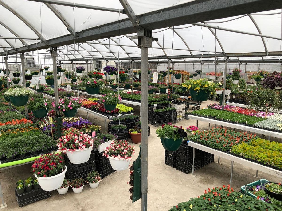 Windy Ridge Greenhouse