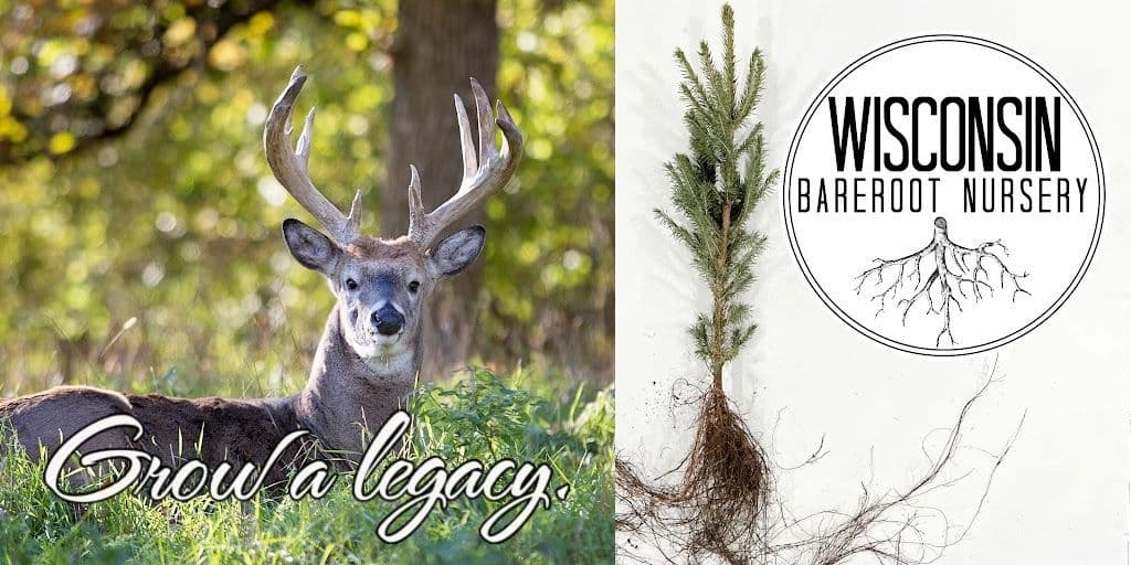 Wisconsin Bareroot Nursery