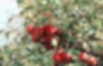 Wisconsin Land and Property Management