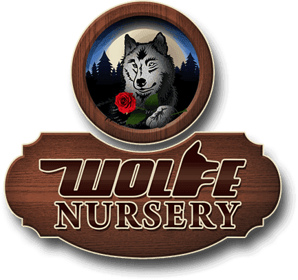 Wolfe Landscaping Nursery
