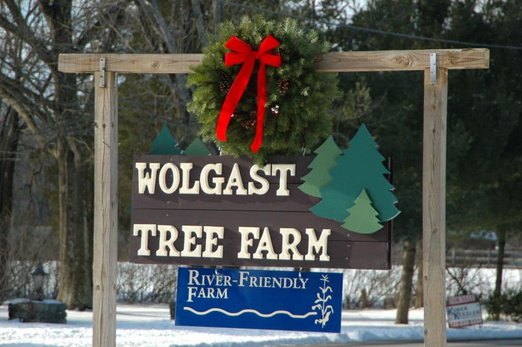 Wolgast Christmas Tree Farm